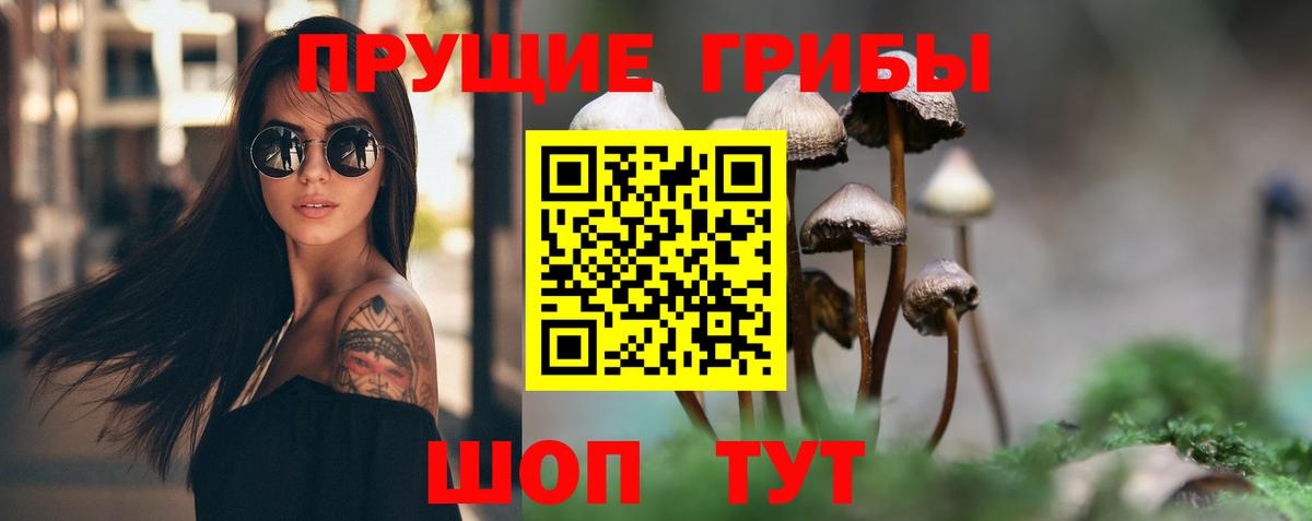 Псилоцибиновые грибы мицелий Советск